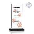 Arizona VividPrint™ Award - Black