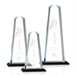 Pinnacle Award - Black