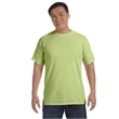 Comfort Colors Adult Heavyweight T-Shirt