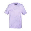 Adult Heavyweight Color Blast T-Shirt