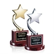 Evandale Star Award