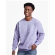 Comfort Colors Colorblast Crewneck Sweatshirt