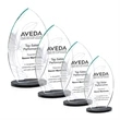 Windermere VividPrint™ Award - Black