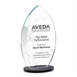 Windermere VividPrint™ Award - Black
