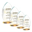 Windermere VividPrint™ Award - Amber
