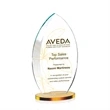 Windermere VividPrint™ Award - Amber