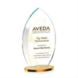 Windermere VividPrint™ Award - Amber