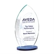 Windermere VividPrint™ Award - Blue