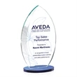 Windermere VividPrint™ Award - Blue