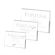 Windsor Rectangle Horizontal Award - Starfire/Chrome