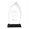 Rotherham Award