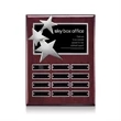 Constellation (Vert) Perpetual - Rosewood/Chrome