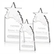 Augustine Award