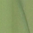 ic™ Pen