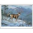 Wildlife Art