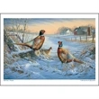 Wildlife Art