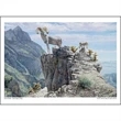 Wildlife Art