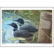 Wildlife Art