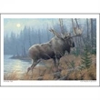 Wildlife Art