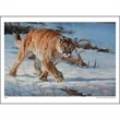 Wildlife Art