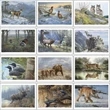 Wildlife Art