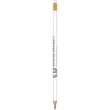 Souvenir® Pencil Solids