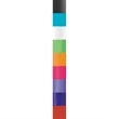 BIC® Clic Stic® Ice Grip Pen