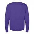 Hanes Ecosmart® Crewneck Sweatshirt