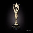 Gold Star Achievement Award