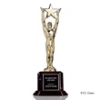 Star Achievement Award on Rosewood