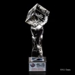 Vortex Award