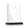 Leighton Liquid Crystal™  Award - Black