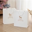 Paper Bag With Cotton Handle