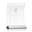 Dominga Award - Starfire/Silver