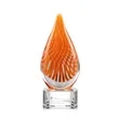Aventura Award - Clear