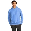 Champion Reverse Weave Hooded Sweatshirt