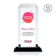 Dalton VividPrint™ Award - Black