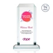 Dalton VividPrint™ Award - Clear