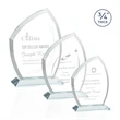 Daltry Award - Clear