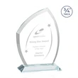 Daltry Award - Clear