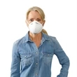 N95 Face Mask
