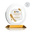Gibralter VividPrint™ Award - Amber
