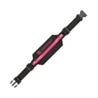 Sprinter Running Belt