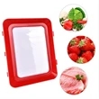 Preservation Plastic Food Tray