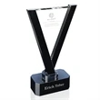 Amity Award