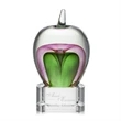 Tate Apple Award on Paragon