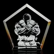 Genosee Award - 3D
