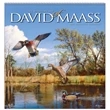 David Maass Executive Calendar