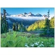 Scenic America Pocket Calendar