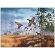 Maass WildfowlÖ Executive Calendar